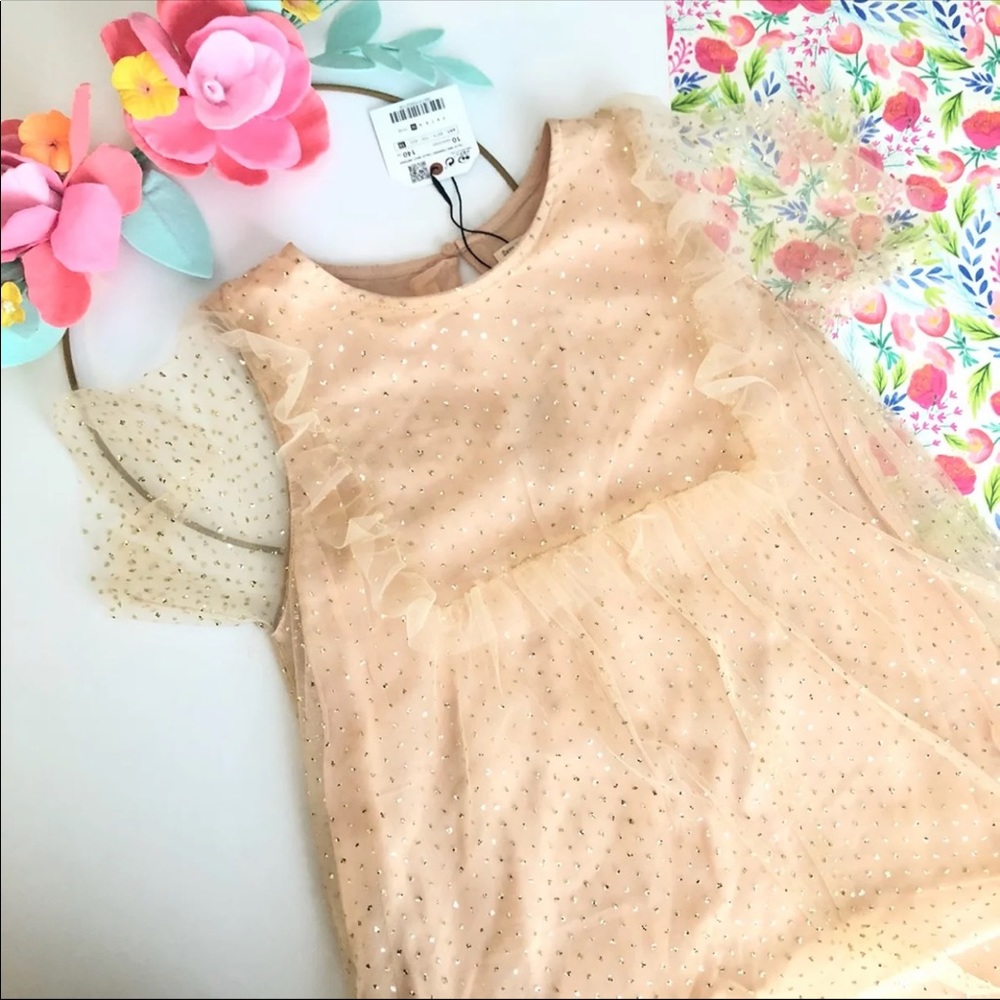 Zara Kids Girl’s Special Occasion tutu Tulle Dress